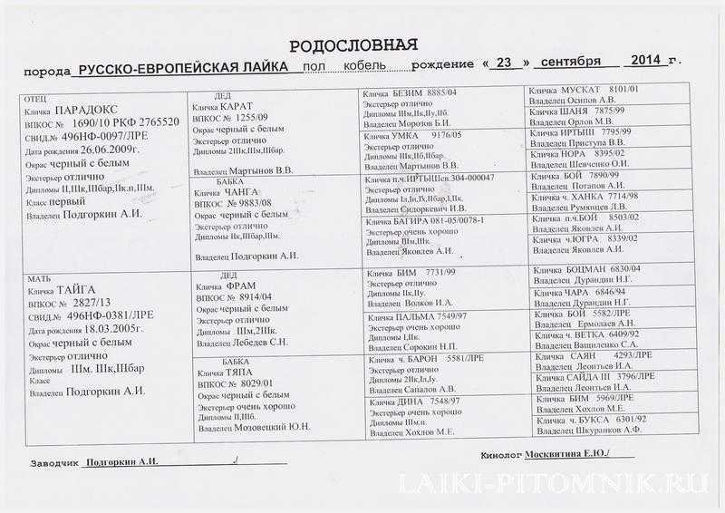 Лаки кличка собаки что означает