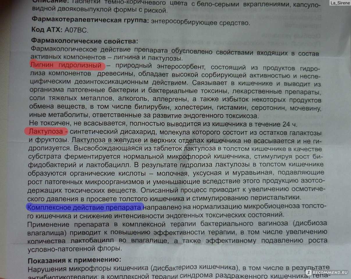 Запор у собаки: симптомы, что делать