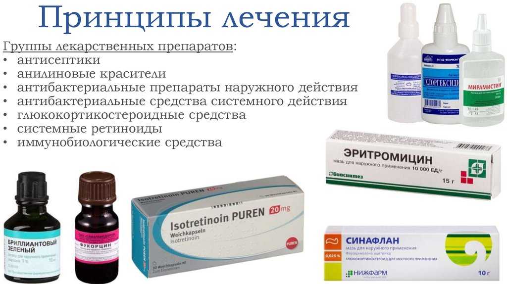 Пиодермия у собак | мир собак