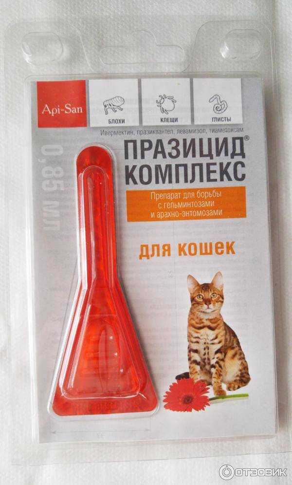 Капли барс для кошек от блох и вшей: инструкция по применению, отзывы