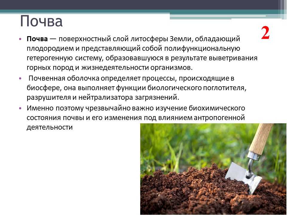 Загрязнение почвы