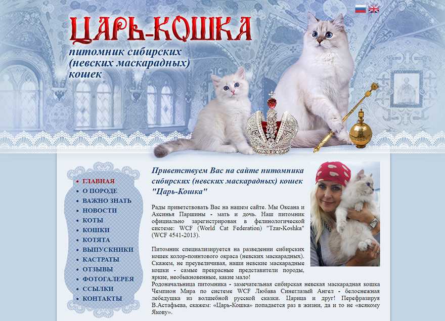 Невская маскарадная кошка: описание породы, возможные окрасы, характер и повадки, достоинства и недостатки, выбор котенка, фото, отзыв