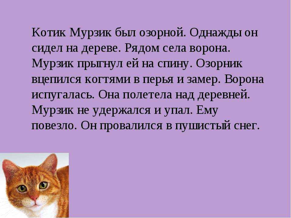 Котёнок