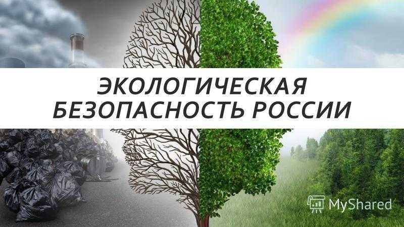 Экологическая безопасность