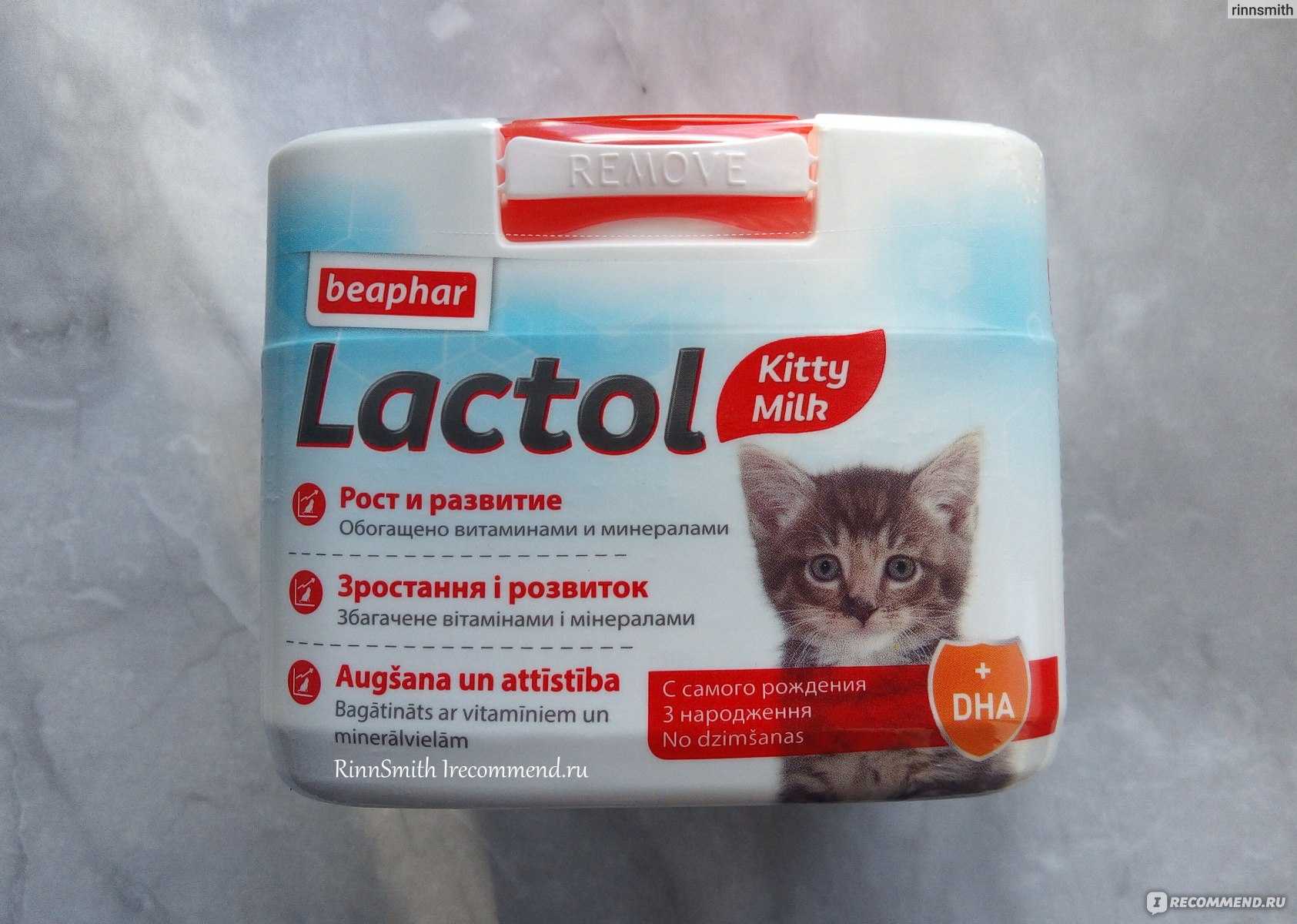 Примеры заменителей молока для кошек: состав и какая жирность в процентах