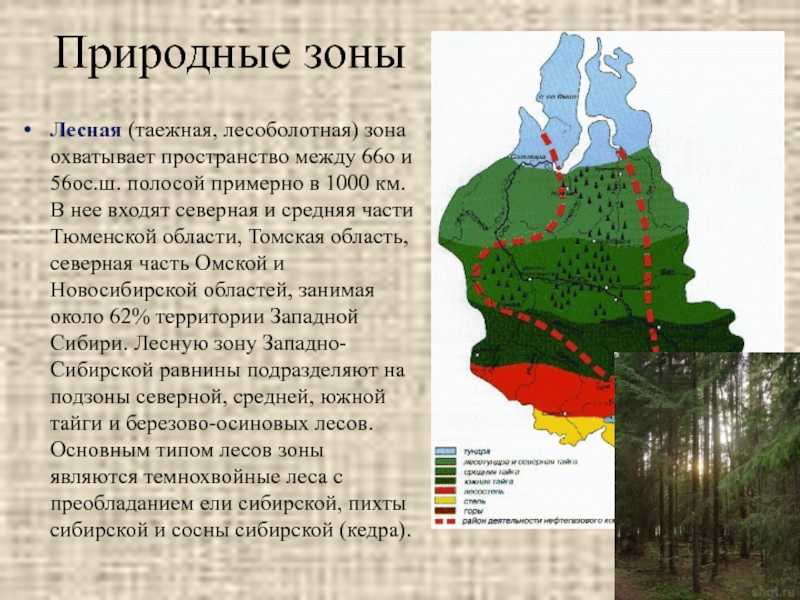 Месторождения полезных ископаемых западно-сибирской равнины