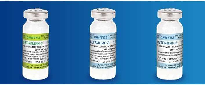 Бициллин собаке при болезни