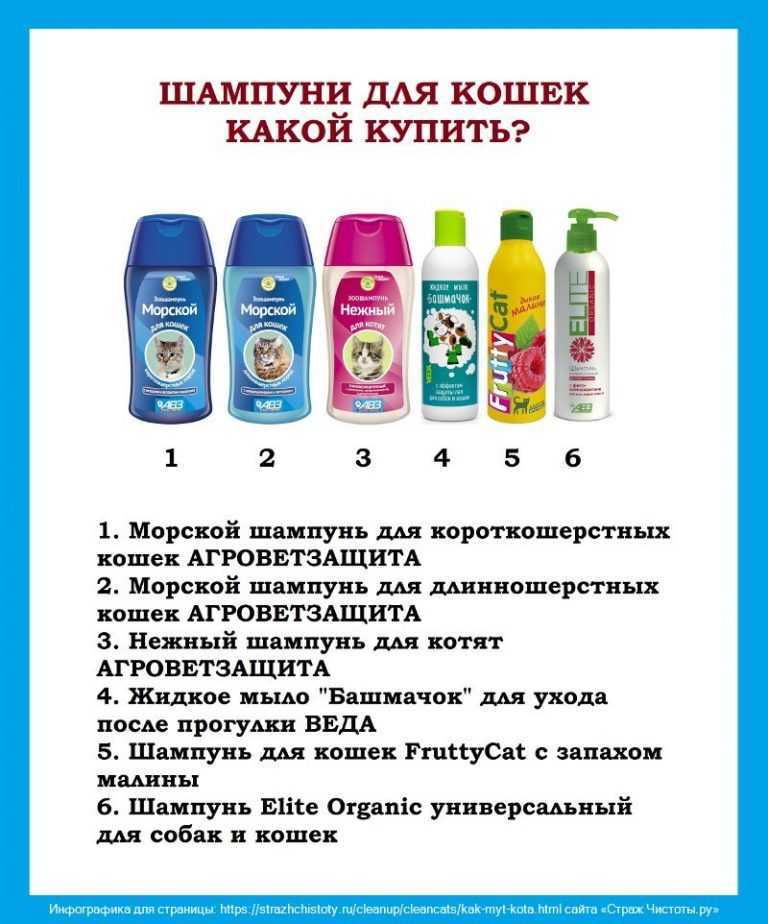 Можно ли мыть собаку хозяйственным мылом без вреда для ее здоровья или лучше специализированный шампунь