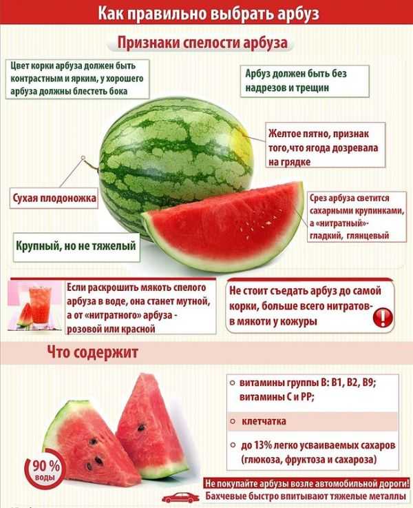 Можно ли собакам гранат, киви, сливу, прочие фрукты, сухофрукты