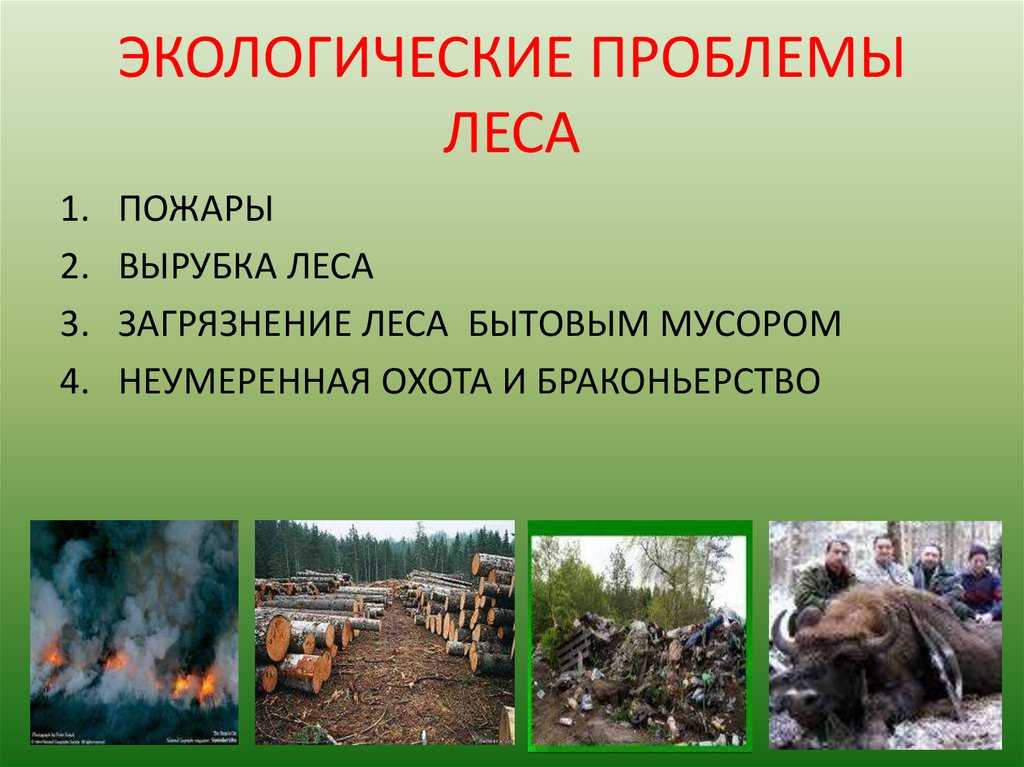 Урок 9: охрана природы в россии - 100urokov.ru