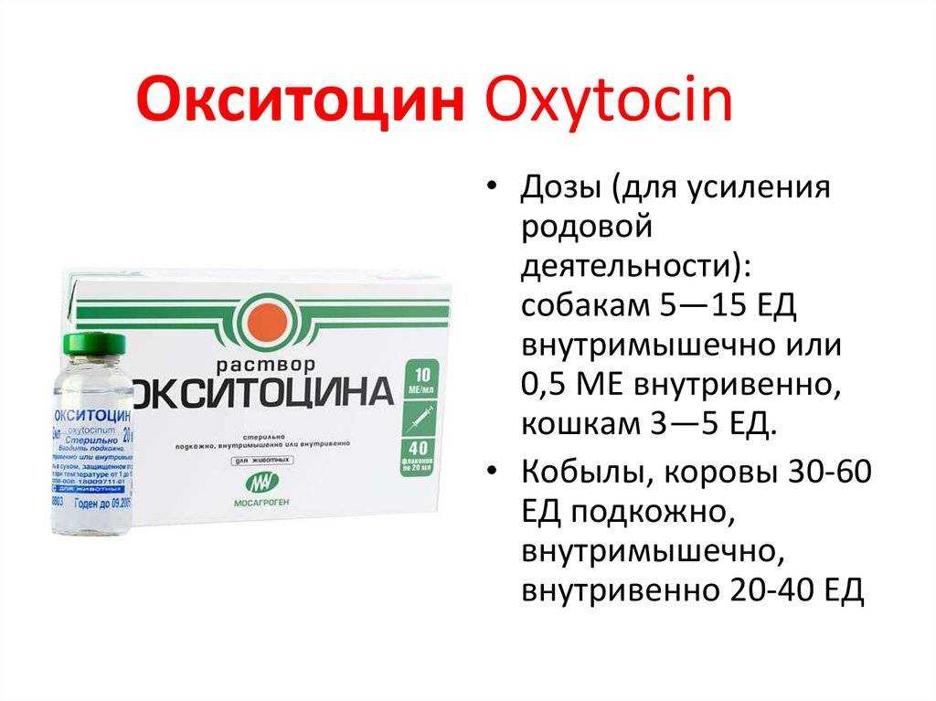 Данная инструкция по применению препарата Окситоцин для собак содержит дозировку на кг веса при пиометре и осложнённой беременности Узнайте, сколько раз, с каким промежутком и куда можно колоть это лекарство для стимуляции во время и после родов