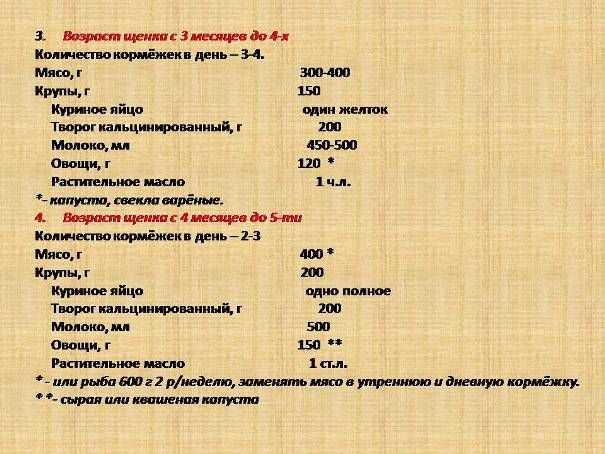 Как кормить щенка таксы 3 месяца сухим кормом