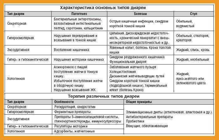 Понос у кошки: причины и лечение диареи