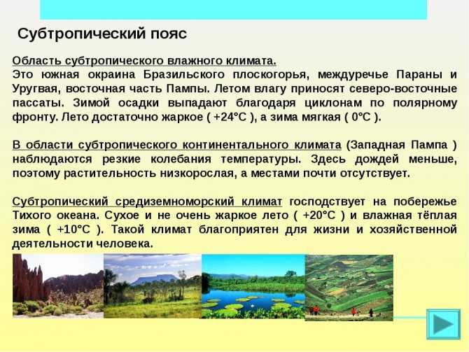 Красноземы и желтоземы влажных субтропических лесов