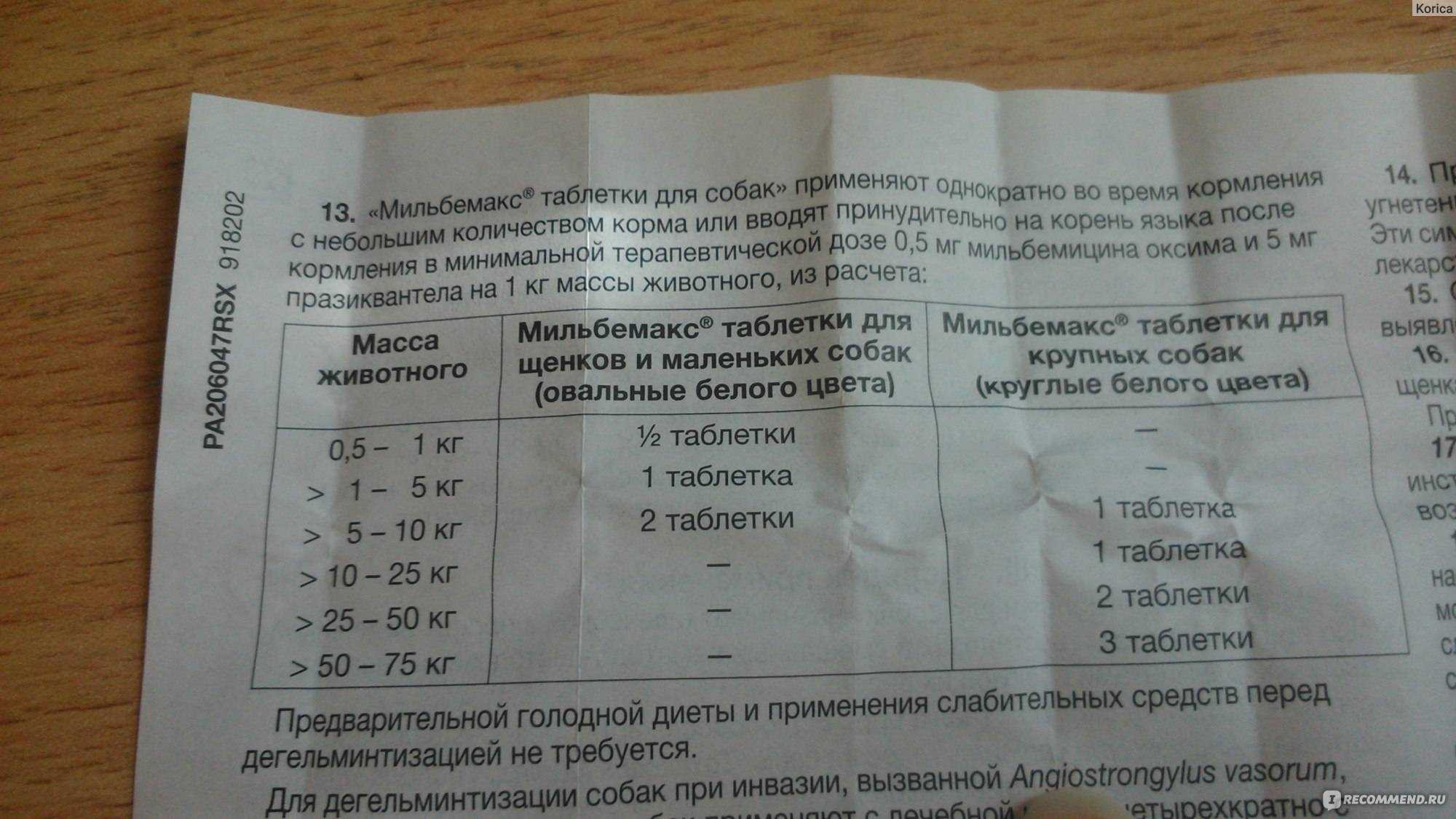 Можно ли давать карсил собакам?