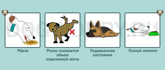 Сладкое
