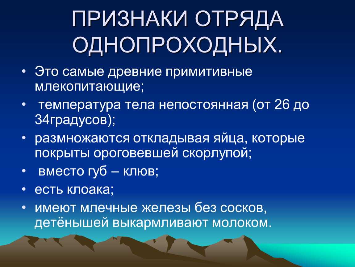 Подкласс яйцекладущие млекопитающие, отряд однопроходные, представители: ехидна, утконос