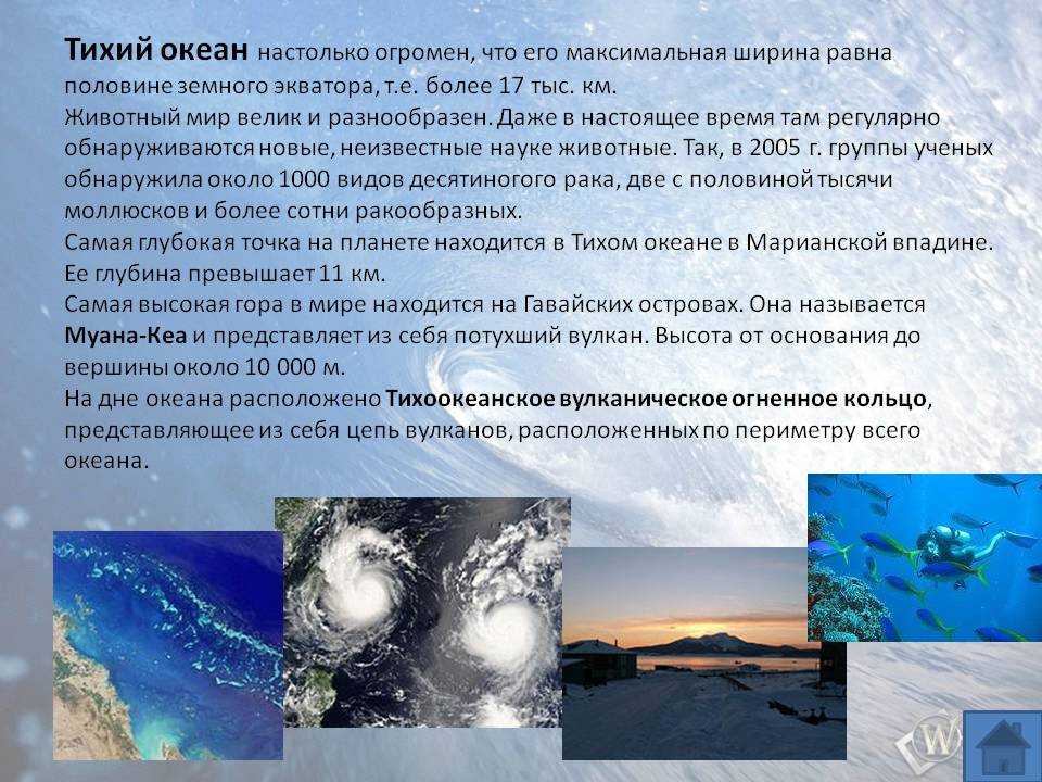 Подробная информация про тихий океан