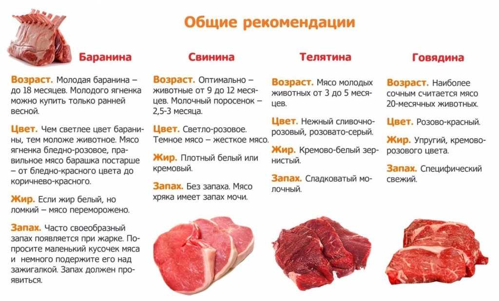 Какие самые дешевые субпродукты для собак и щенков можно давать каждый день Есть ли польза от введения в рацион сушеных куриных, говяжьих и приготовленных в домашних условиях лакомств из свинины и как правильно кормить ими – ответы есть в статье