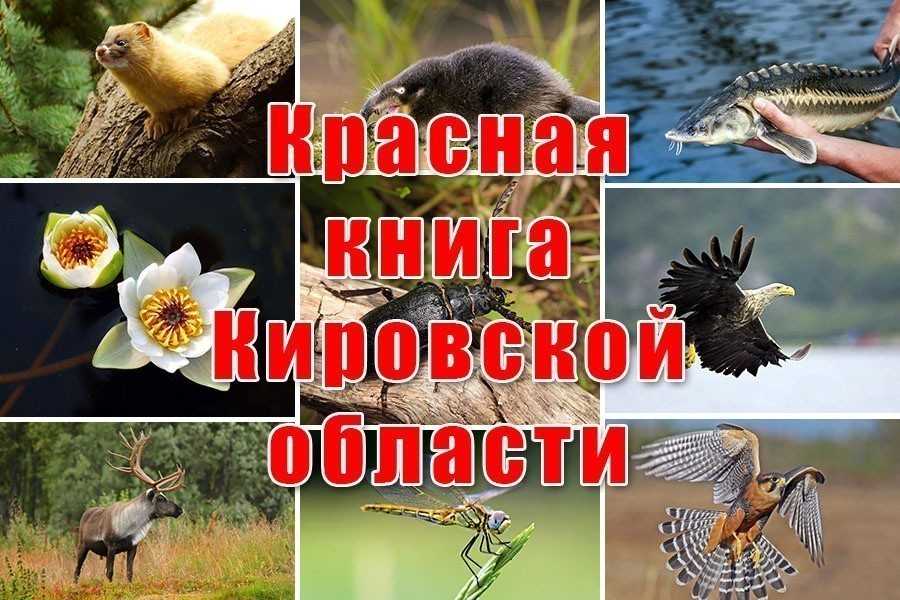 Список лишайников и грибов, занесённых в красную книгу кировской области