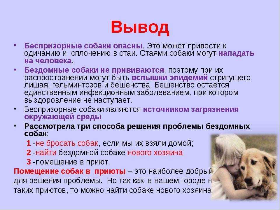 Сколько воды нужно собаке и кошке в день? | hill's