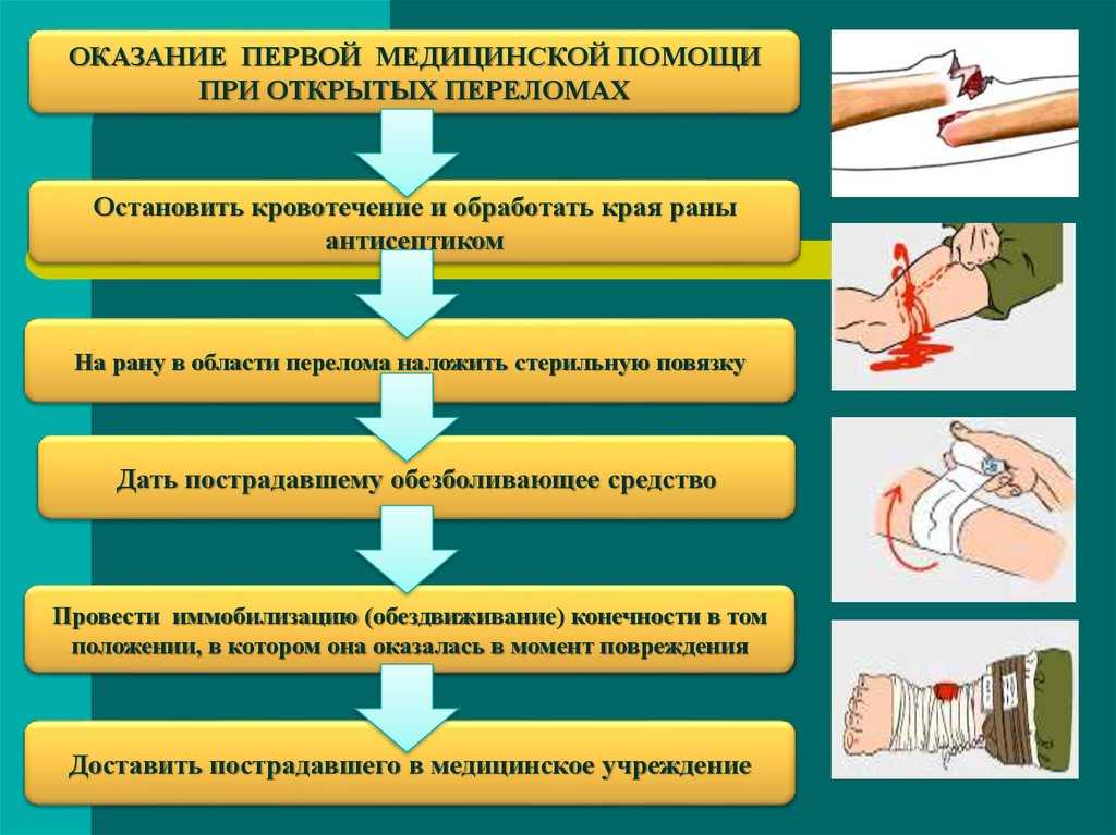 Ожоги у кошек и котов: виды, симптомы и первая помощь - все о породах кошек с описанием, фотографиями и названиями.все о породах кошек с описанием, фотографиями и названиями.