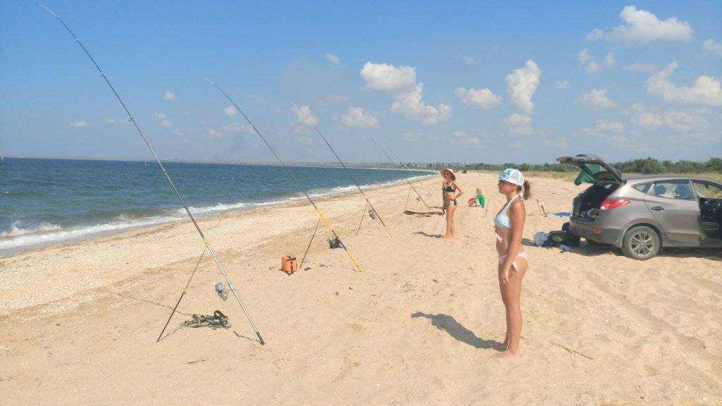 Кто водится в азовском море, особенности рыбалки