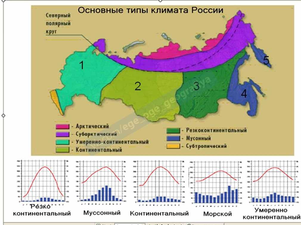 Субтропики  россии: где находятся, район распространения, характеристика, климатические условия