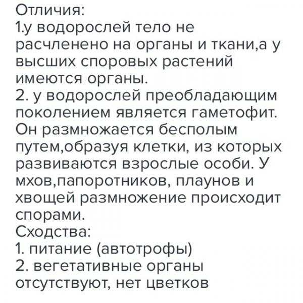 Конспект "низшие растения. водоросли" - учительpro