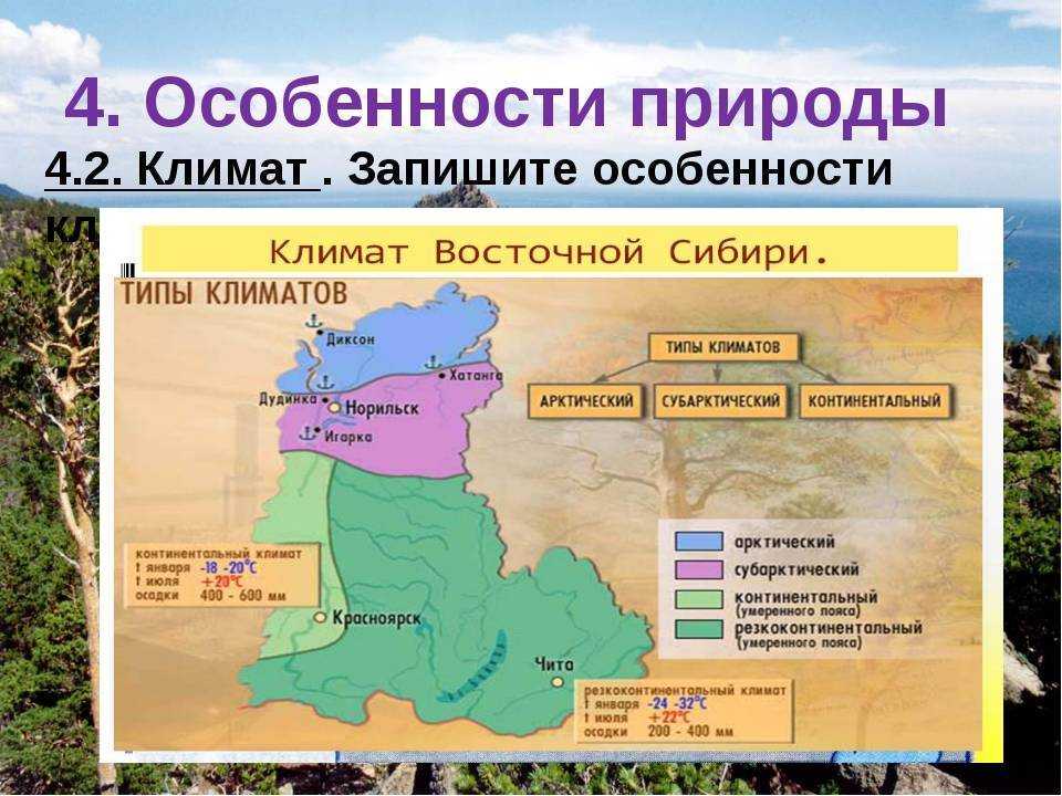Презентация на тему "природные ресурсы западно-сибирской равнины и условия их освоения." по географии для 8 класса