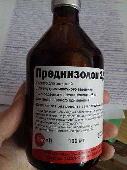 Преднизолон для собак схема лечения