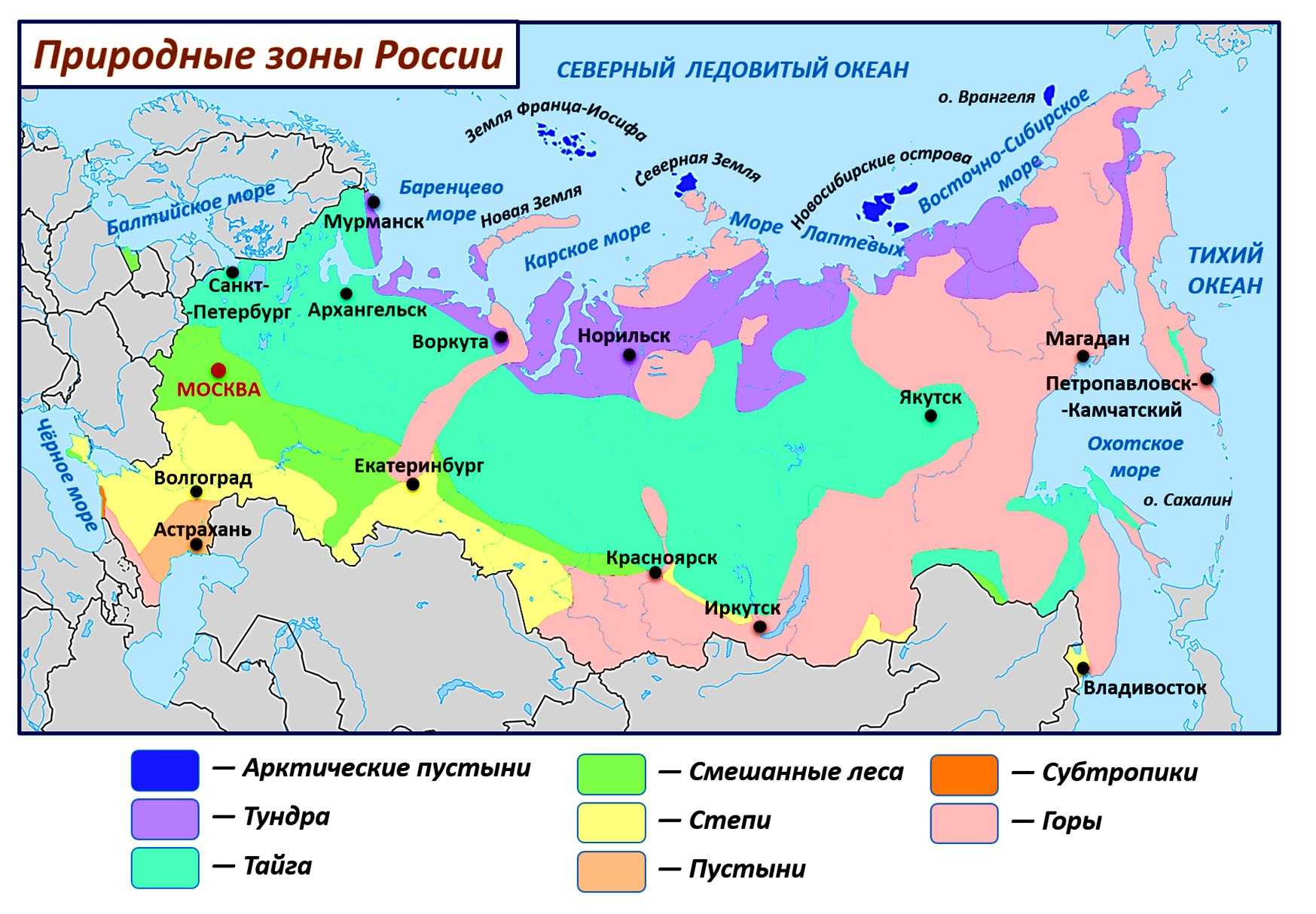 Таблица “животные и растения природных зон”