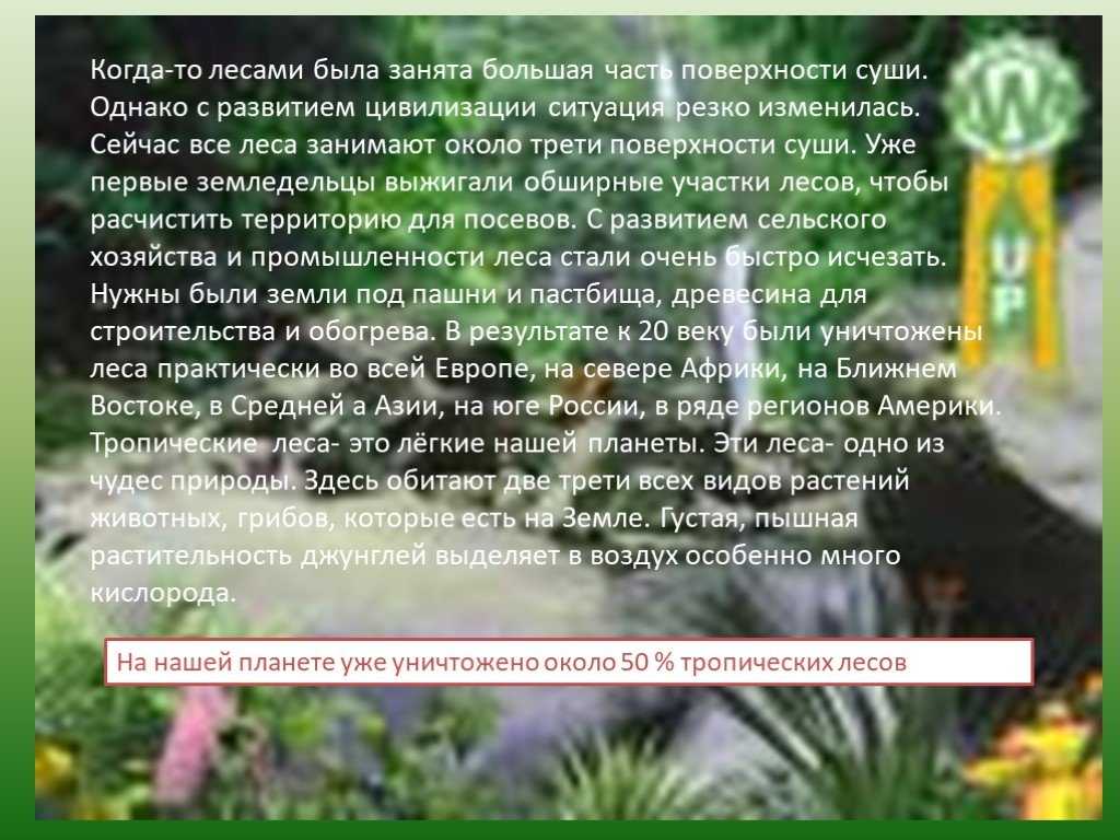 ознакомиться с еще одной экопроблемой нашей планеты - это вырубка тропических лесов и идущие за этим проблемы