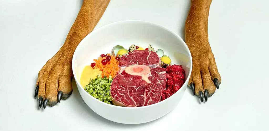 Разрешается ли кормление сырым мясом для собаки каждый день или все же варить