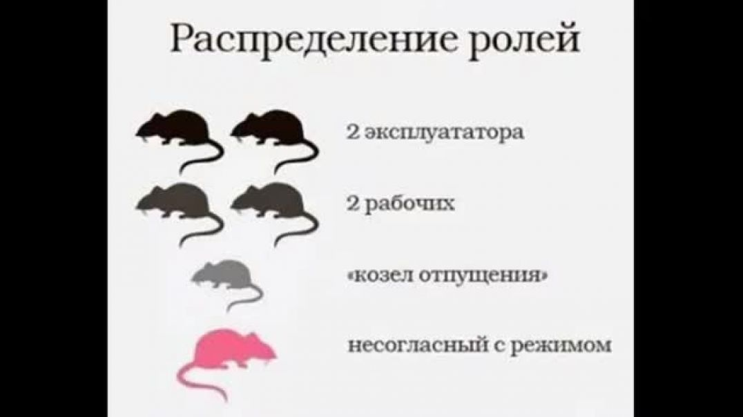 Глициния — красавица юга