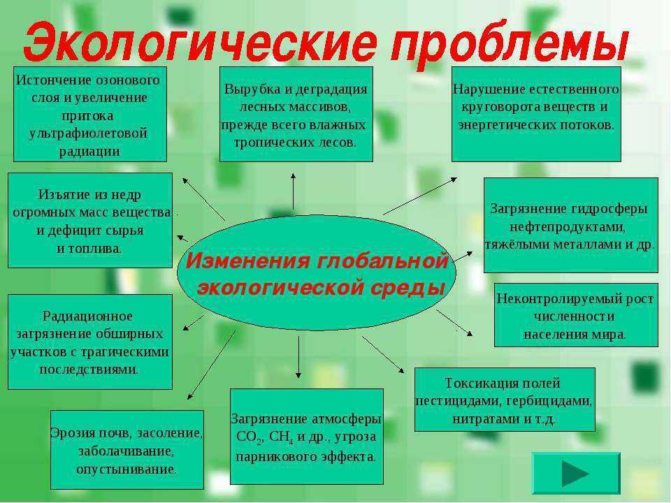 Экологический кризис и пути его преодоления