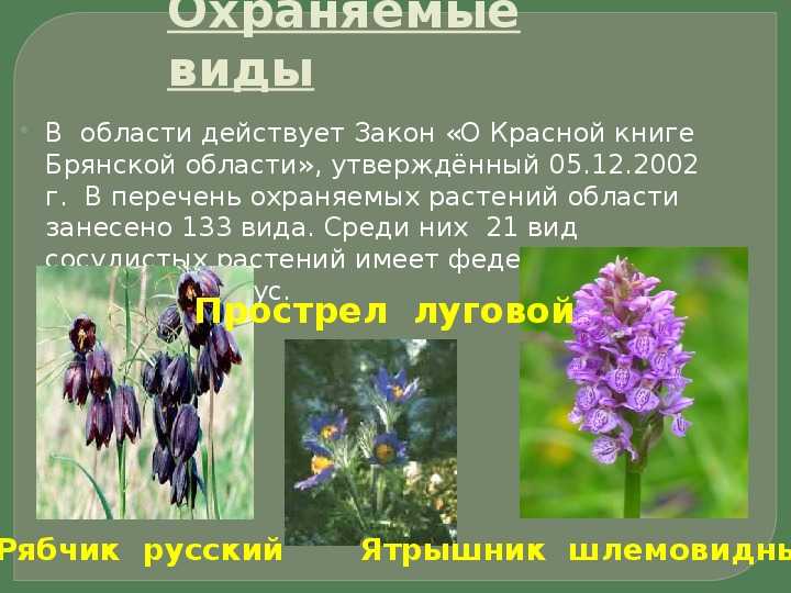 Красная книга брянской области - география