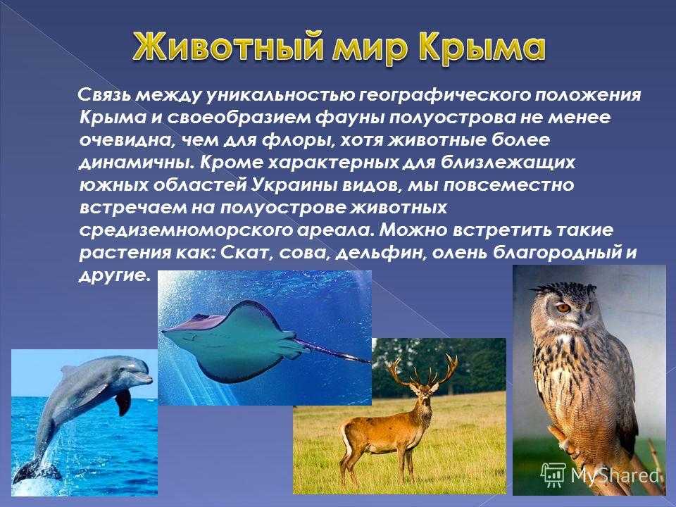 Эндемики крыма что это значит