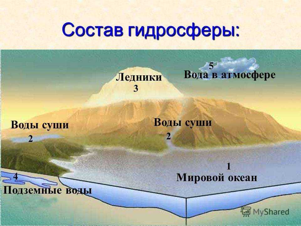 Гидросфера — незаменимая основа всего живого на нашей планете