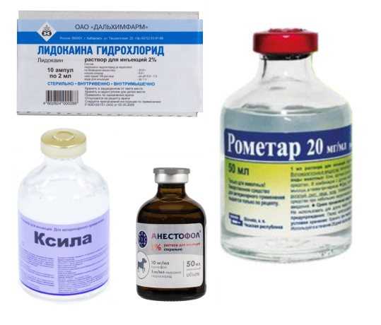 Успокоительное для собак