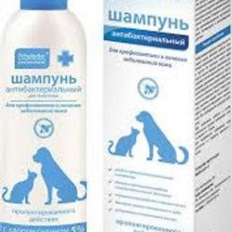 Шампунь с хлоргексидином для кошек