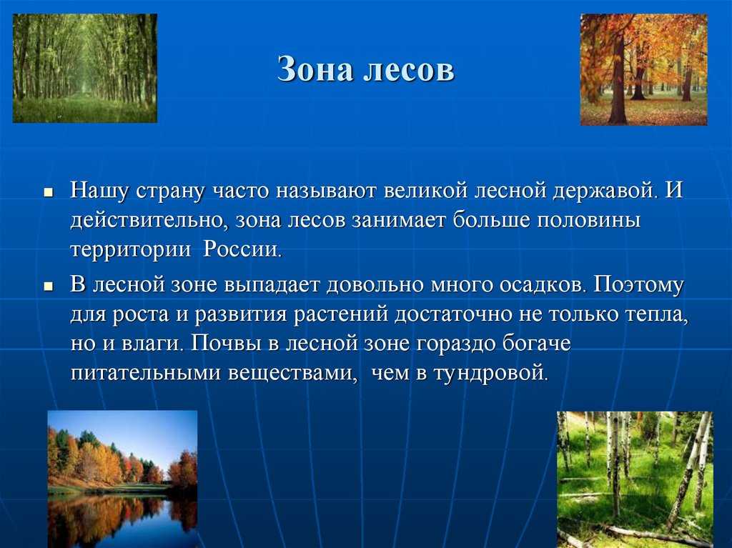 Параграф 24 - естествознание. 10 класс. габриелян о. с. — викирешебник