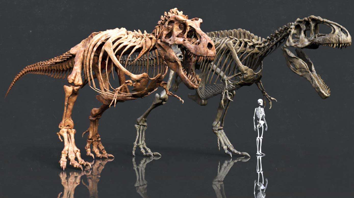 Аллозавр (allosaurus)
