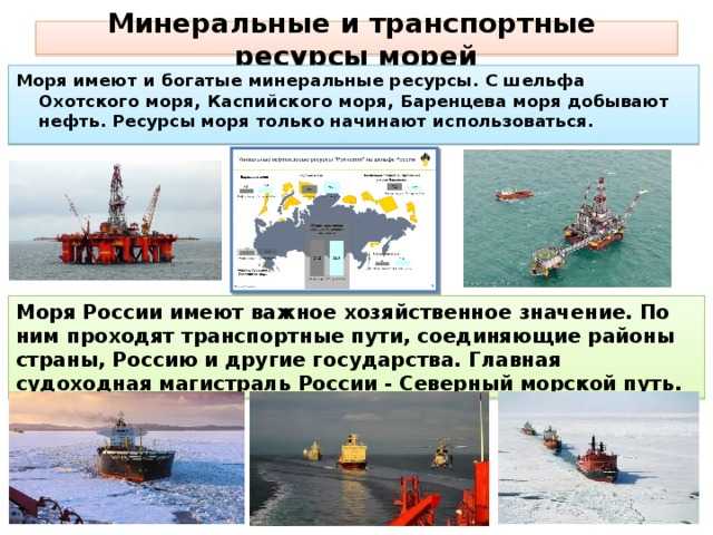 Экологические проблемы охотского моря кратко