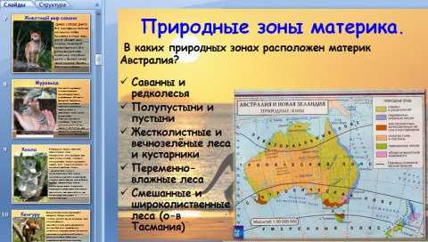 Растения австралии: справочник с фотографиями