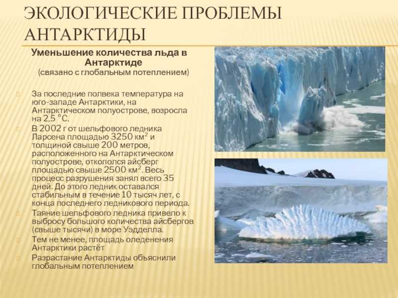Кризис загрязнения антарктиды требует глобального внимания - сайт thred