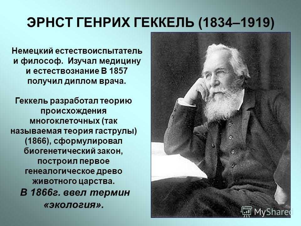 Кто ввел в науку термин экология - только важное