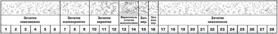 Почему у собаки после течки гнойные выделения