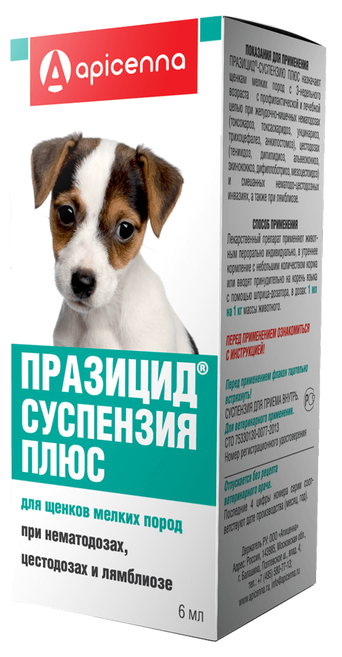 Таблетки от глистов для собак: как дать, перед прививкой, отзывы