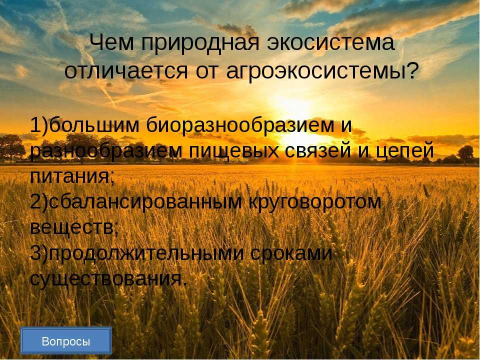 Сравнительная характеристика природных экосистем и агроэкосистем кратко
